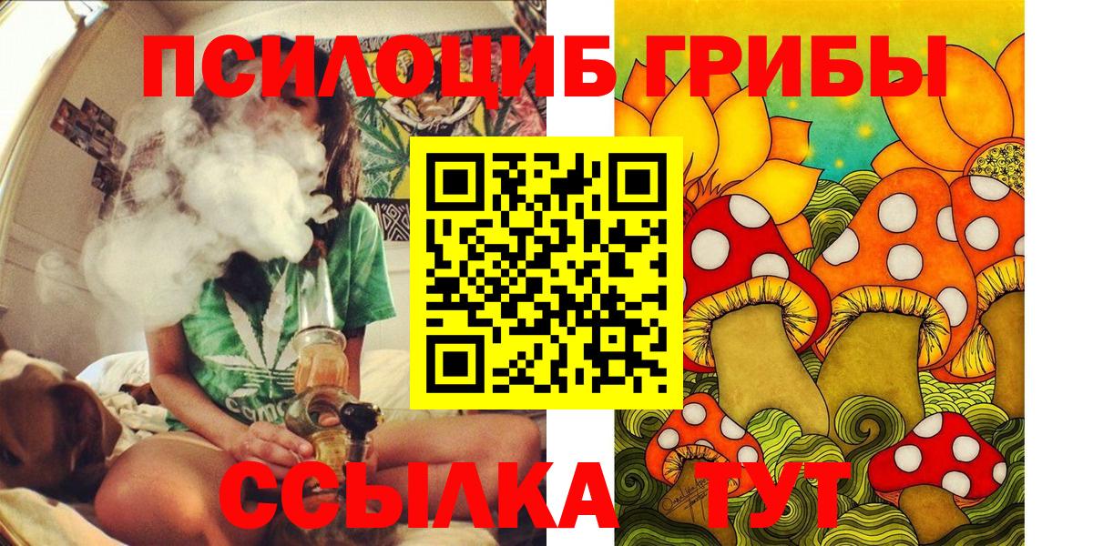 Губкин  Псилоцибиновые грибы Psilocybine cubensis  Вход с VPN 