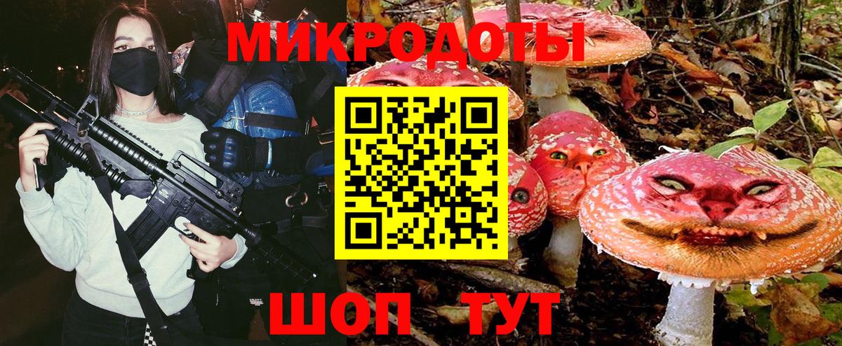 Галлюциногенные грибы ЛСД Губкин
