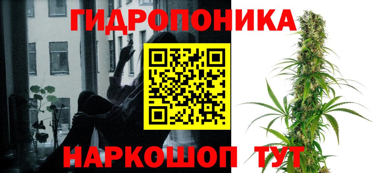 Шишки марихуана план  Вход с VPN  Марихуана THC 21%  Губкин 